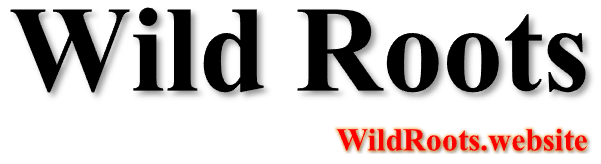 Logo1